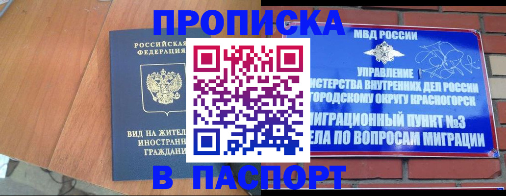 найти адрес прописки в Бородино